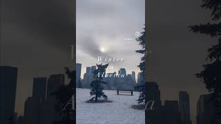 冬のカナダのカルガリー🇨🇦⛄️留学するには寒すぎるけど経験としておすすめです！ずっと-40℃というわけではなく、-20℃らへんの日が多いです。私は沖縄出身なのでここまでのマイナスは人生初でした。