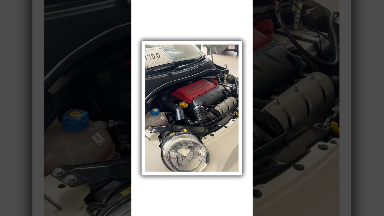 “可愛い”で終わらない車：見た目とのギャップがえぐい走り好きなら一回は乗るべき一台。