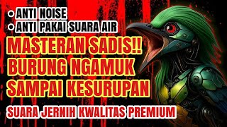 Download lagu MASTERAN SADIS!! BURUNG NGAMUK SAMPAI KESURUPAN!! | Suara Gacor Full Isian Tembakan Brutal mp3 Download lagu MASTERAN SADIS!! BURUNG NGAMUK SAMPAI KESURUPAN!! | Suara Gacor Full Isian Tembakan Brutal mp3