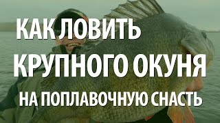 Окунь в мае на поплавочную удочку