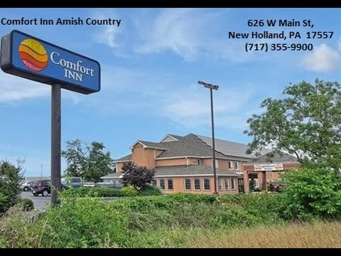 Comfort Inn Amish Country - REVIEWS - New Holland Pennsylvania Hotel Reviews