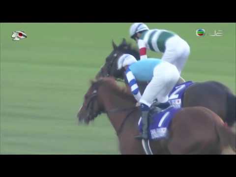 2017 Japan Cup G1 - Cheval Grand (高尚駿逸) - H.Bowman (布文留放出色直路一攻而破殺敗兩匹熱門馬)