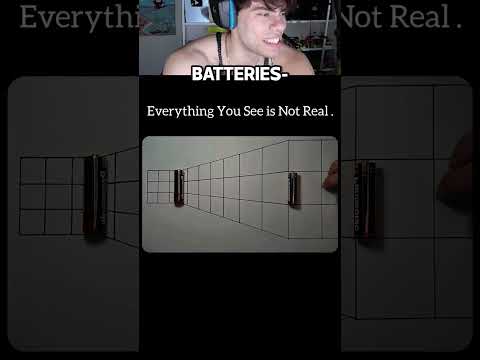 Can You See The Illusion?? 🤔🧠 #dantes #memes #reaction