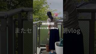 還暦主婦の日常　またセミに驚いた朝vlog
