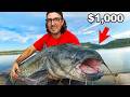 I Competed In A Giant Catfish Tournament