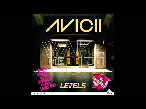 Avicii vs. Whitney Houston - Bromance vs. Wake me Up vs. I Wanna Dance With Somebody vs. Levels
