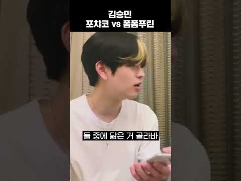 [스트레이키즈] 김승민 폼푸인지 포챠코인지 얘기해보는 달글