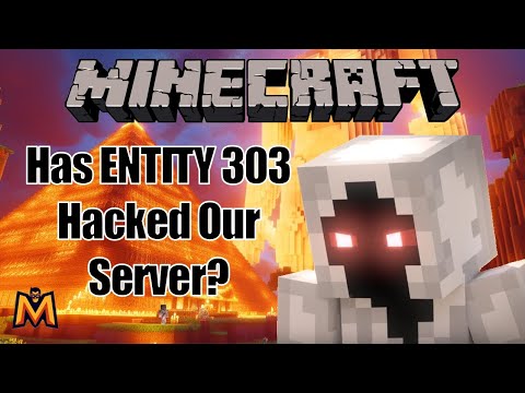 Sneaky Hack: Entity 303 Invades Our SMP