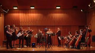 Spiros Deligiannopoulos: Lontano for Strings Camerata