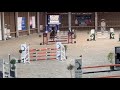 Superbe jument de sport 7 ans CSO prête à performer