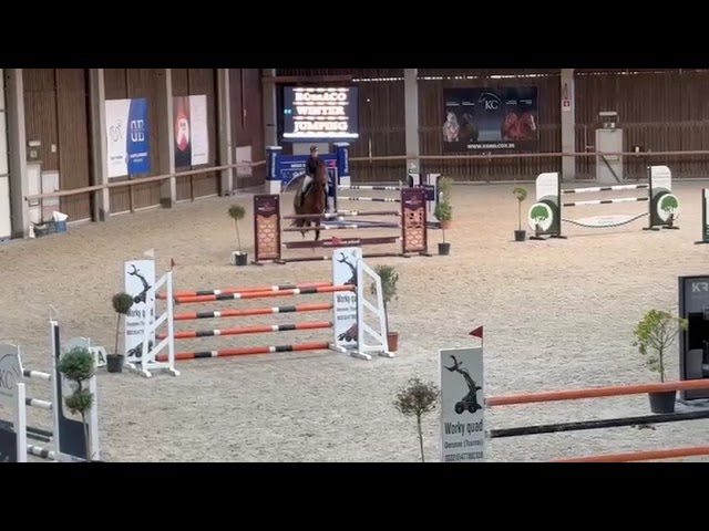 Superbe jument de sport 7 ans CSO prête à performer