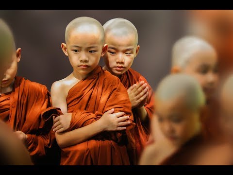 Sabios Consejos Budistas para dejar de sufrir - Ciencia del Saber