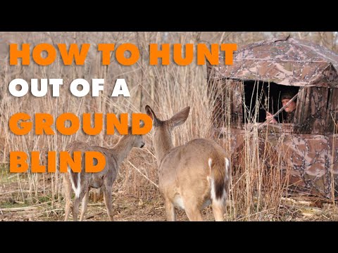 How to Hunt Out of a Ground Blind