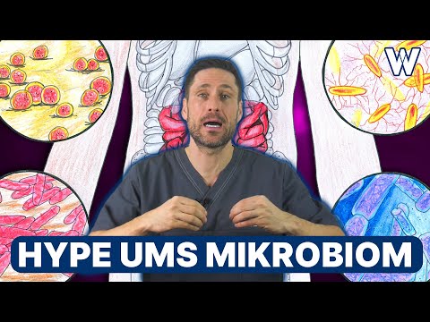 Mikrobiom: Fakten & Wahrheit über unsere Darmflora aus ärztlicher Sicht (Immunsystem? Krankheiten?)