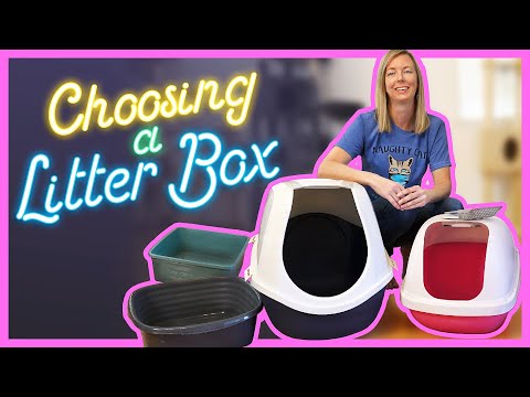 Tips for Buying the BEST Litter Box!