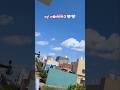 Minivlog 8 Food Lifeisbutadream Cooking Minivlog Dailyvlog Vlog Family Entertainment Shots