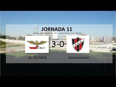 Jornada 11: SL Olivais - Sacavenense