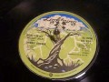 Dennis Brown - Money In My Pocket Part 1 & 2 - Reggae - 45 rpm Vinyl