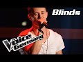 Harry Styles - Sign Of The Times (Matthias Nebel) | The Voice of Germany | Blind Audition