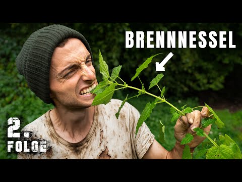 Schaffen wir es, einen Tag nur BRENNNESSELN zu essen? | Tag 2/100 autark