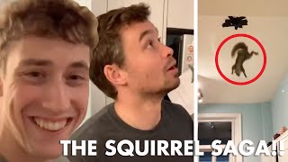 Download lagu A Family of Squirrels Ate Holes Through my Roof. mp3
