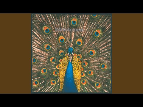 The Fountainhead - The Bluetones