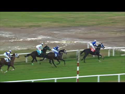 210627 c06 NOCHE DE BANDONEON