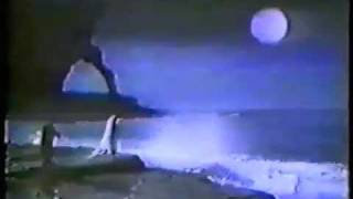 Meat Loaf: Surfs Up Music Video BETTER QUALITY (Arista Mix)