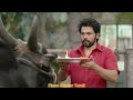 Yaaro Ivan Yaaro Video Song Status Meiyazhagan Kamal Haasan Karthi Arvind Swami Govind C Prem