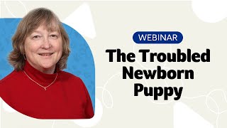 The Troubled Puppy Webinar