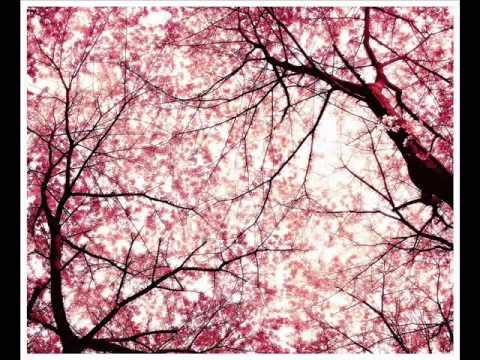 No es lo mismo - Morbo