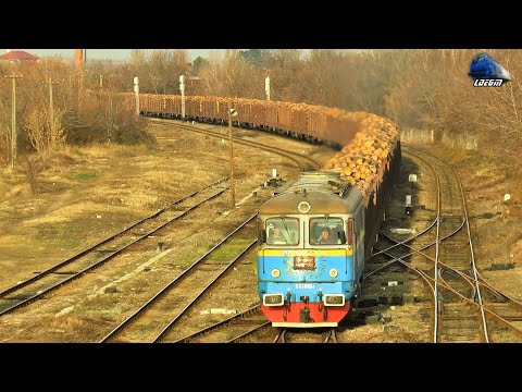 🚂LDE2100 60-1686-4 & Tren cu Bușteni VTS Heavy Wood Train in Gara Oradea Station - 26 November 2021