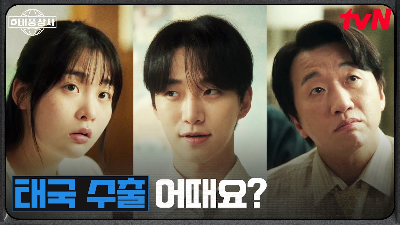 새로운 도전, 헬멧 수출! 태국 시장에 뛰어드는 태풍상사 #태풍상사 EP.8 | tvN 251102 방송
