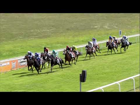 Galopprennbahn Dresden - 25.08.2019 - Rennen 4