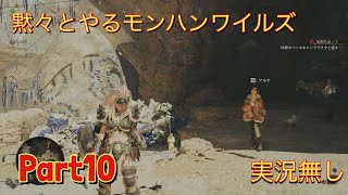 初見で黙々とやるモンスターハンターワイルズ　実況無し　part10