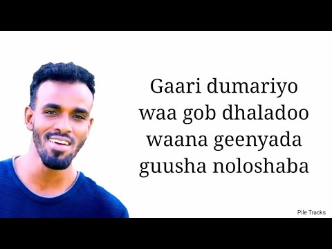 SULDAAN SAREER - Hoobeey hoobeey 275 (Lyrics)