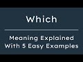 What Does Which Mean Which Meaning In English With 5 Example Sentences