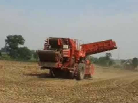 Casier: Aardappel rooien.