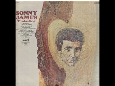 A Tree of Birds ~ Sonny James (1969)