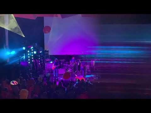 Pigeons Playing Ping pong Live Jam Cruise Theatre Set 1.11.2020
