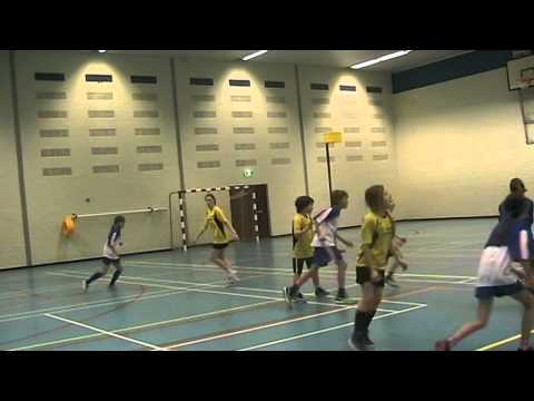 DIE HAGHE D3 - DE MEERVOGELS D4