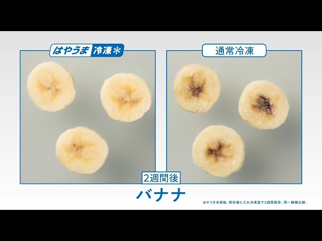 はやうま冷凍 クーリングアシスト 冷蔵庫 Panasonic