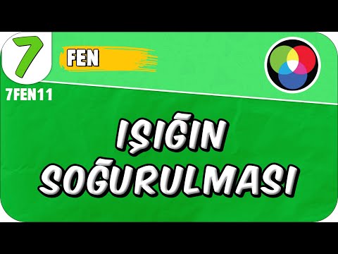 Işığın Soğurulması 📗 7. Sınıf Fen #2025
