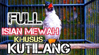 Download lagu Masteran Kutilang isian MEWAH Cocok buat Masteran ... mp3