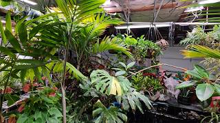 March Garden & Grow Room Tour