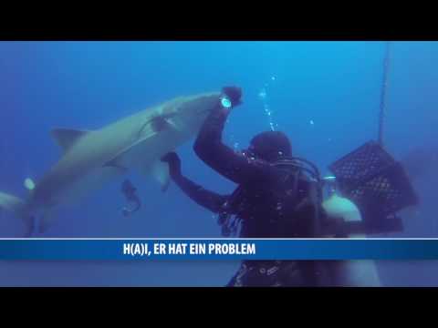 Hai bittet Taucher um Hilfe