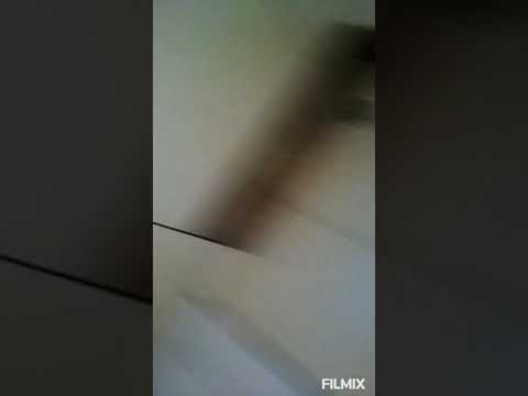 Matias pedreiro de Upanema.RN