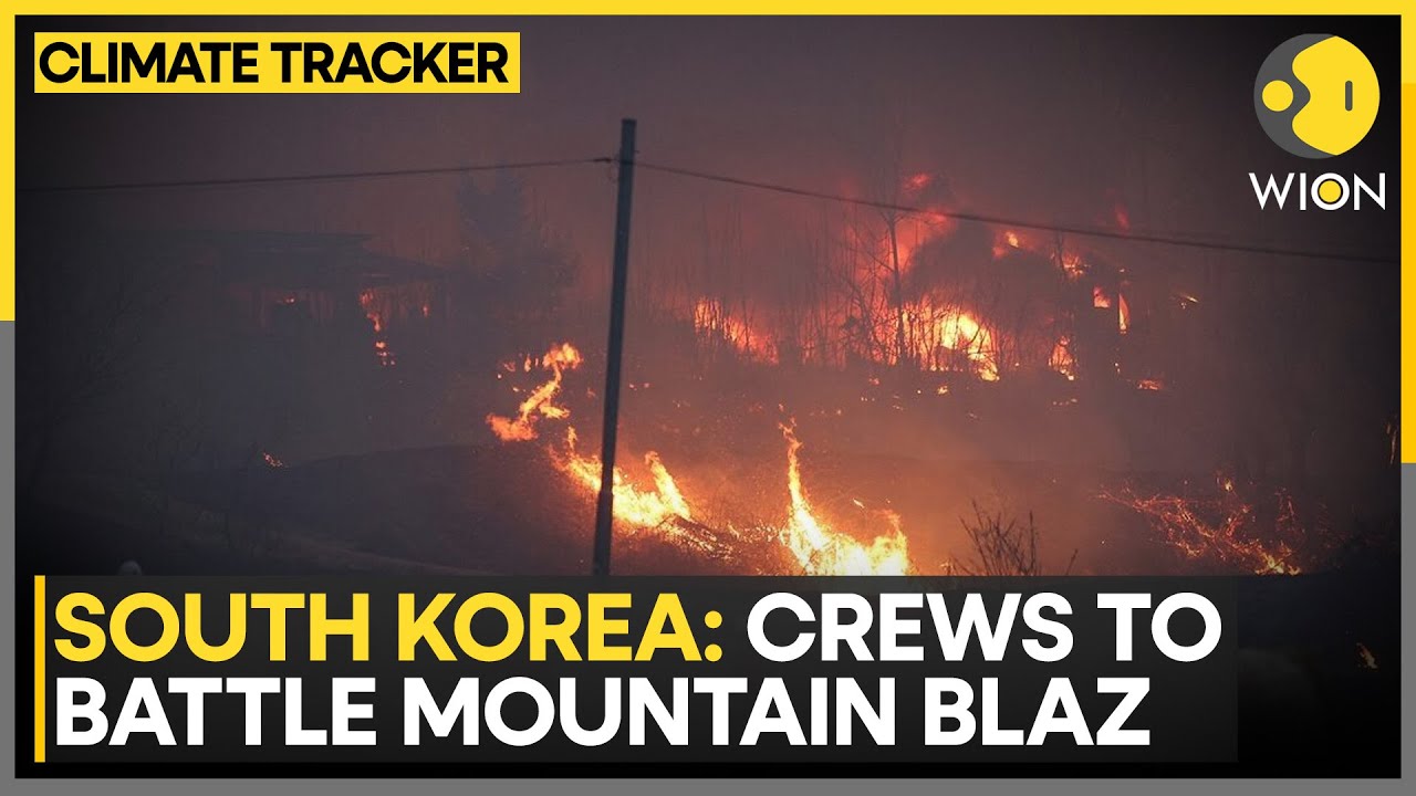 Korea Forest Service Mobilizes 26 Helicopters at Daybreak for Fire Response | WION Climate Tracker