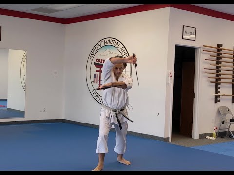 Saijutsu Movement Study