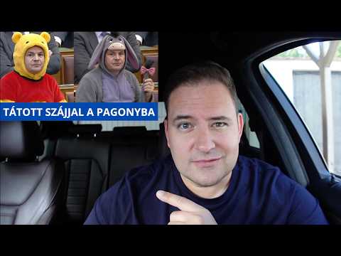 Németh Balázs vs. Micimackó - szegény csacsi❗| Somogyi András |